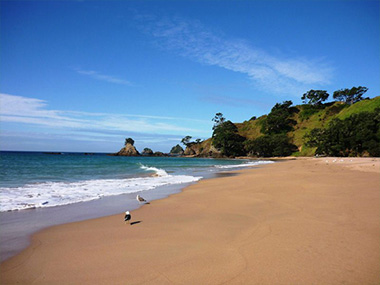 Tauranga Bay